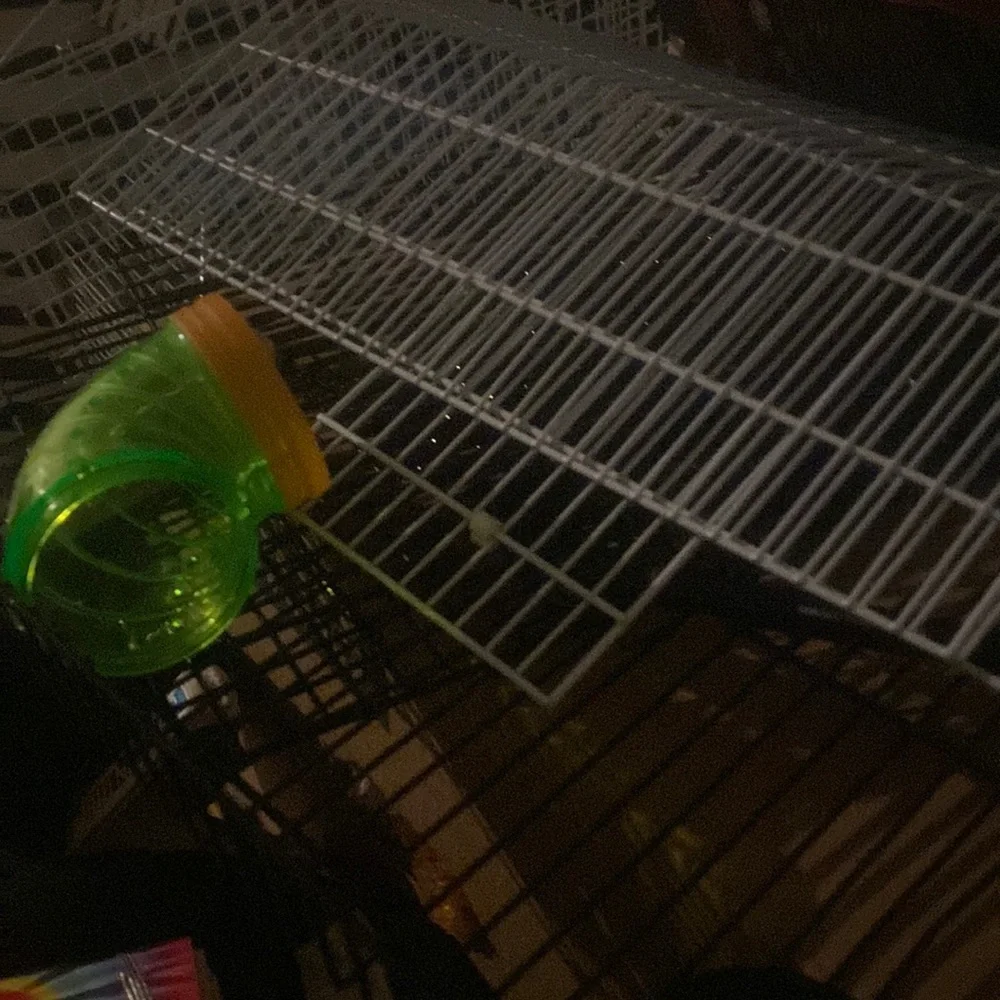 Hamster cages